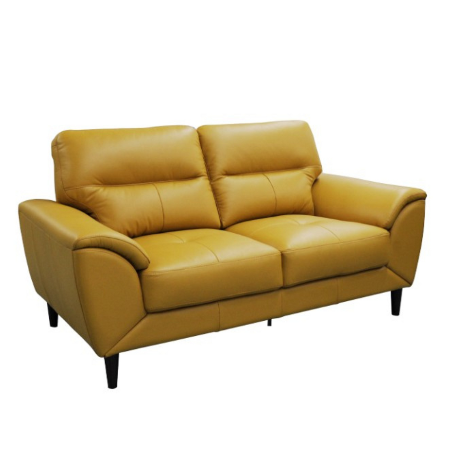 Viva 2 Seater Leather Sofa