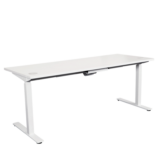 Modern Electric Sit to Stand Office Desk