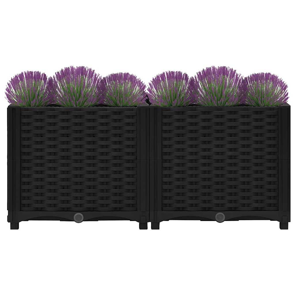 Raised Bed Polypropylene