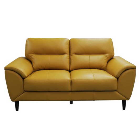 Viva 2 Seater Leather Sofa