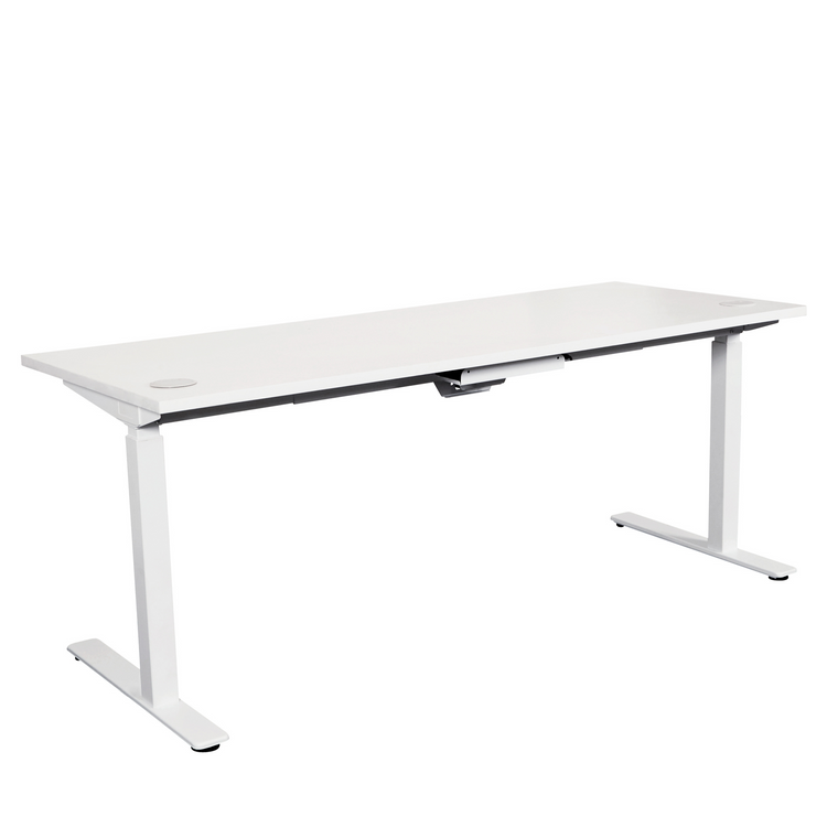 Modern Electric Sit to Stand Office Desk