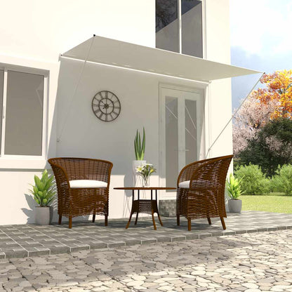 Retractable Awning