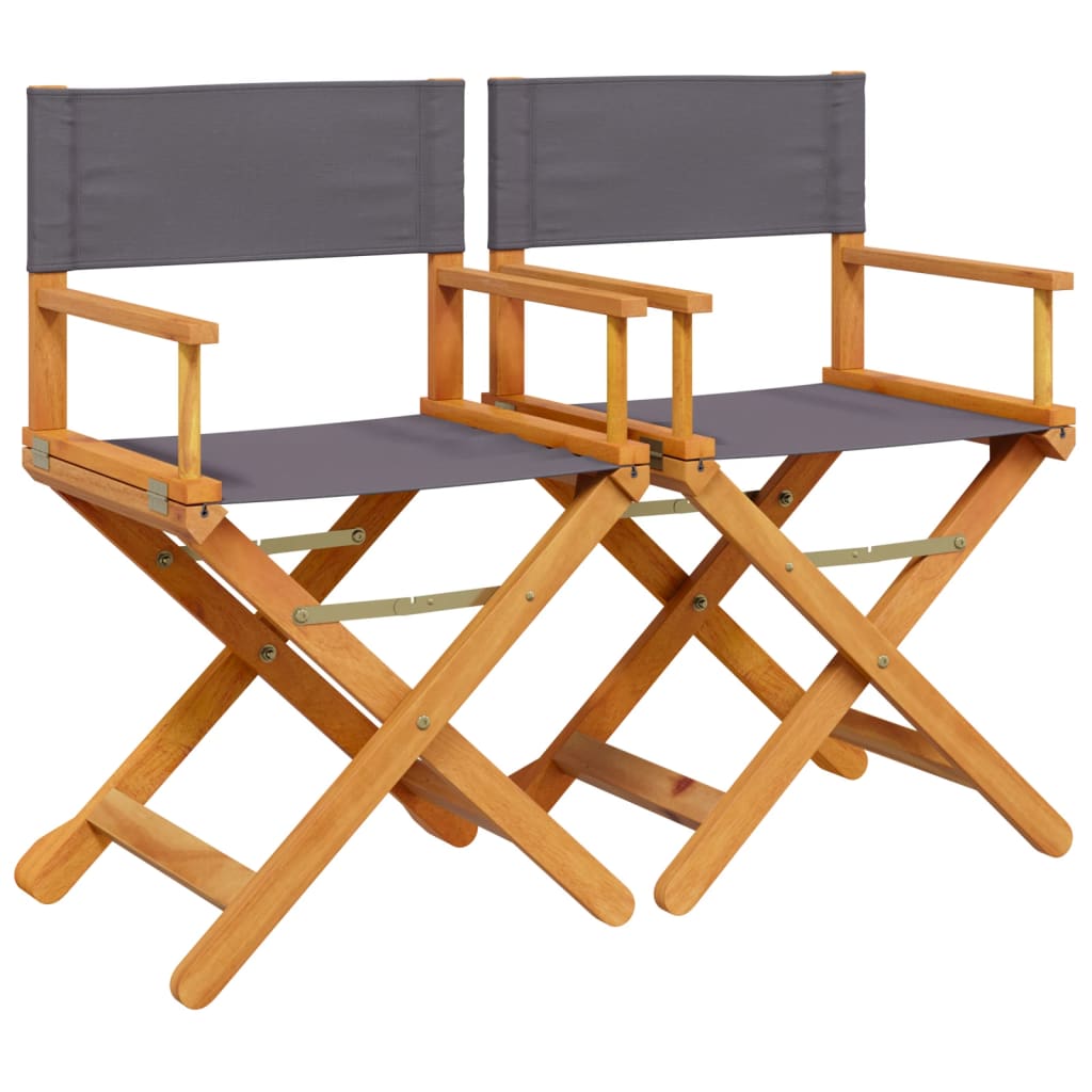 Folding Director Chairs 2 Pcs  Fabric