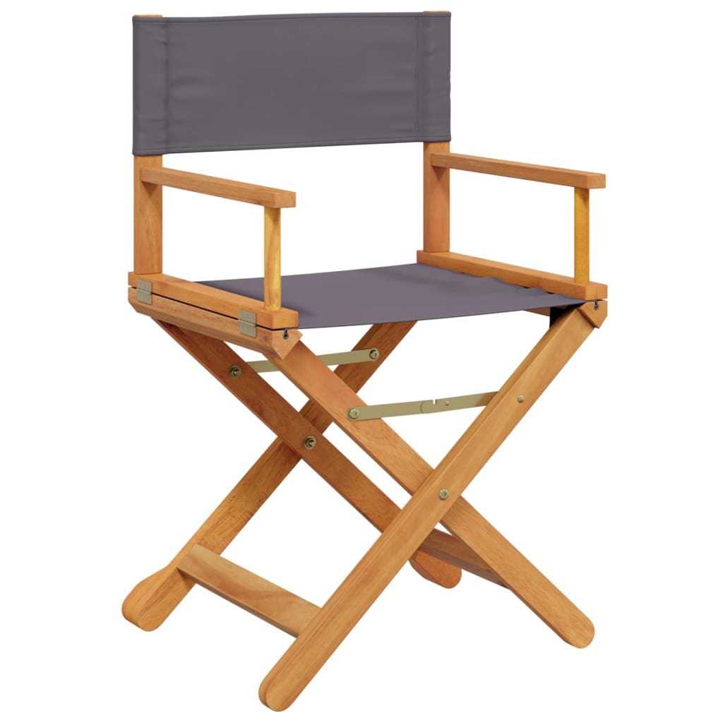 Folding Director Chairs 2 Pcs  Fabric