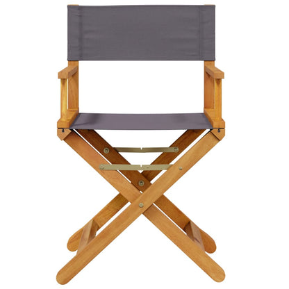 Folding Director Chairs 2 Pcs  Fabric