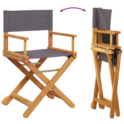 Folding Director Chairs 2 Pcs  Fabric
