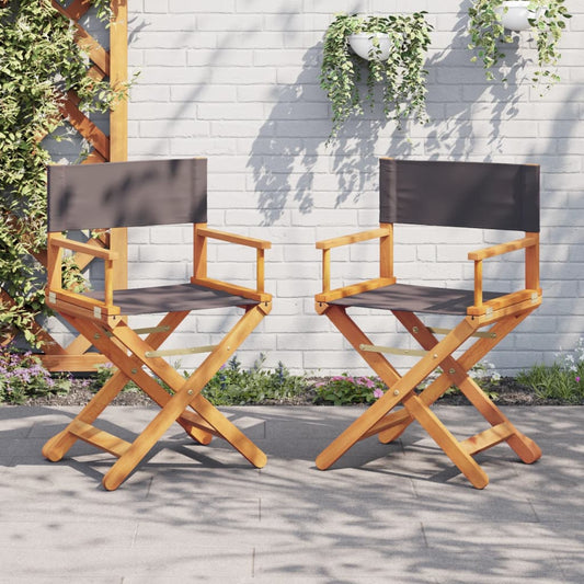 Folding Director Chairs 2 Pcs  Fabric