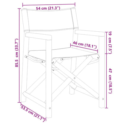 Folding Director Chairs 2 Pcs  White Fabric