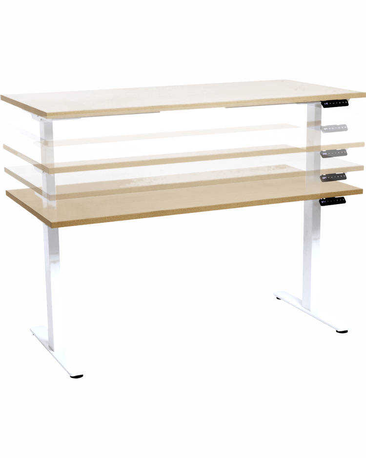 Elev8 Electric Sit to Stand Desk