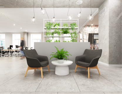 Flow Armchair