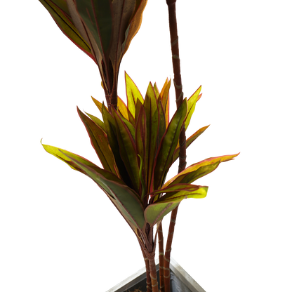 Faux Cordyline fruticosa Tree