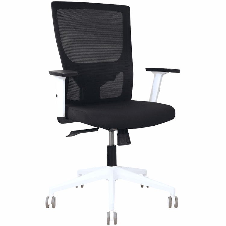 Astro Mesh Ergonomic Office Chair – Black & White