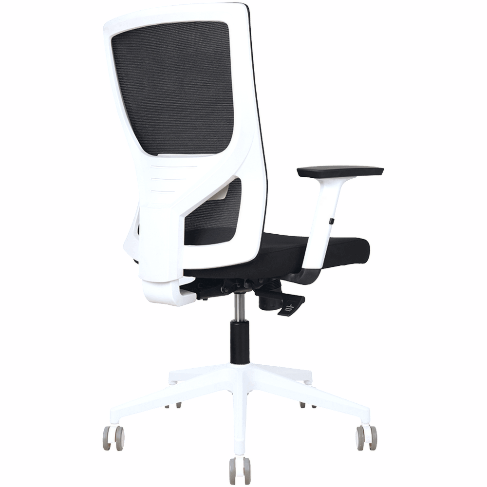 Astro Mesh Ergonomic Office Chair – Black & White