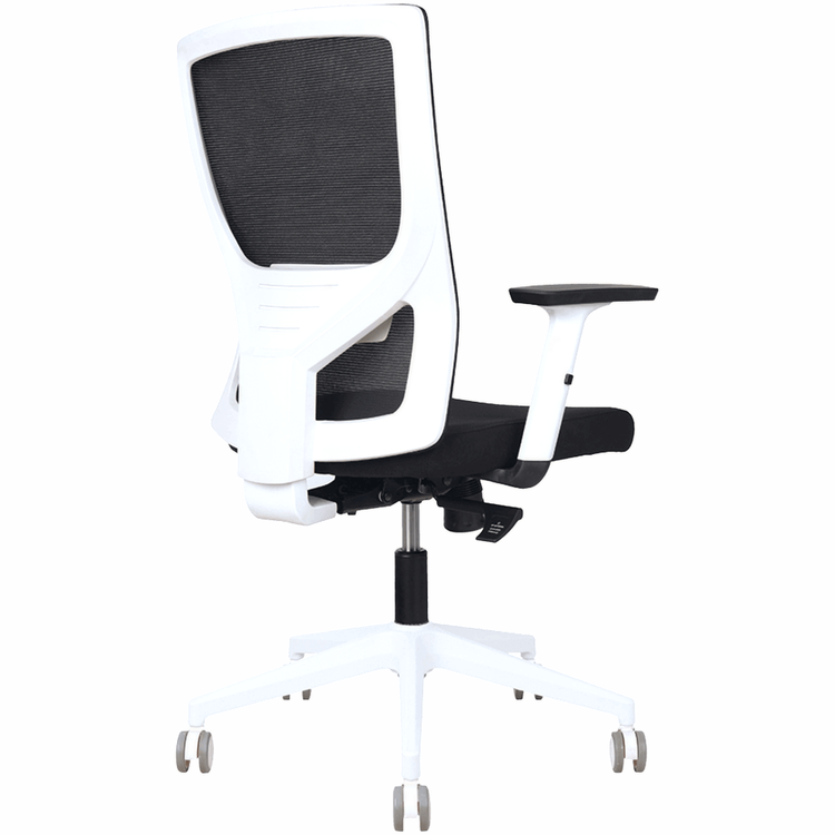 Astro Mesh Ergonomic Office Chair – Black & White