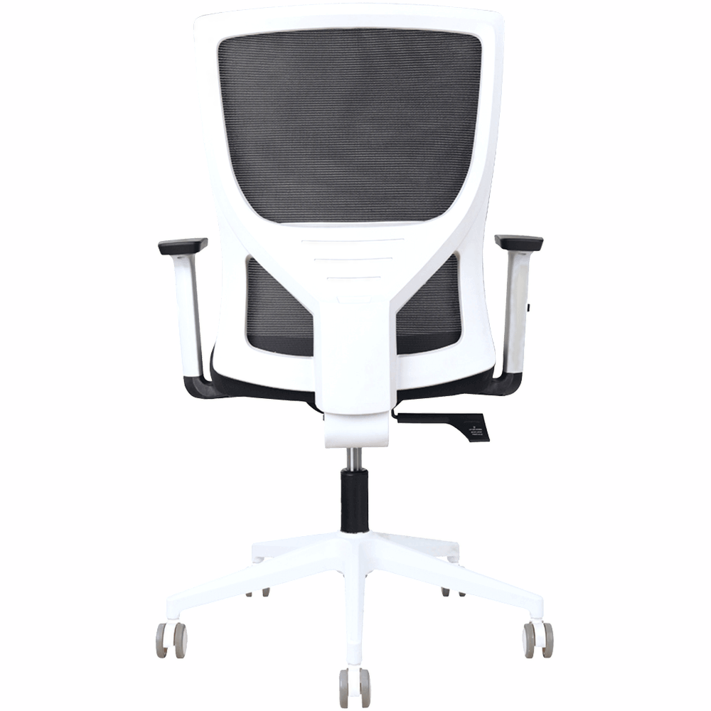 Astro Mesh Ergonomic Office Chair – Black & White