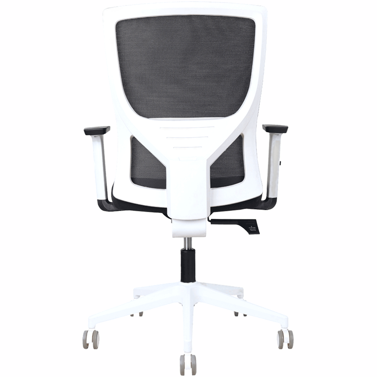 Astro Mesh Ergonomic Office Chair – Black & White