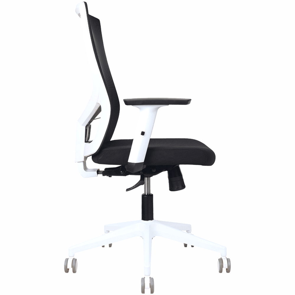 Astro Mesh Ergonomic Office Chair – Black & White