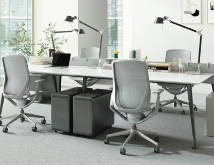 Gravity Ergonomic Office Chair